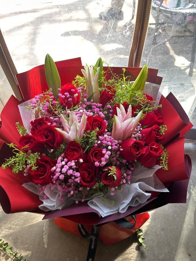 ���ݺ���������