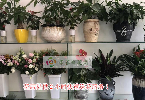 广州海珠区花店提供广州海珠区2小时快速送花服务